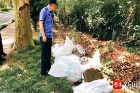 环陵路遭偷倒建筑垃圾，南京栖霞城管及时处置图片