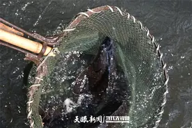 桐梓新站：生态渔业成为村民致富好产业图片