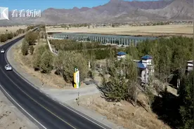 藏红花不是西藏特产？那它如何“安家”雪域高原？图片