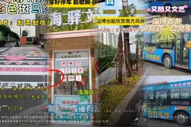 连续上榜热门城市，为什么是淄博？图片