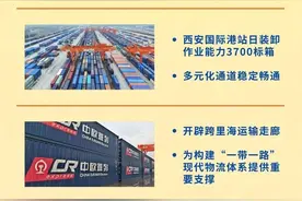 共建“一带一路” 陕西十年“成绩单”丨中欧班列（西安）累计开行超2万列图片