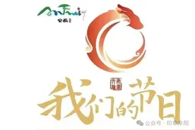 【网络中国节·元宵】阜阳这场灯会，直播通道已开启!图片
