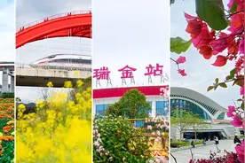 摇曳的花朵+飞驰的列车 邀你开启春日之旅！图片