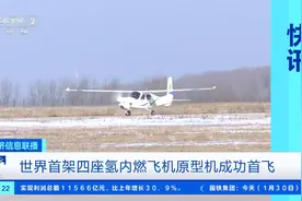 每小时180公里！世界首架四座氢内燃飞机原型机成功首飞图片