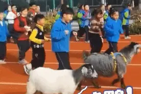 “大明星”一出现，杭州这里瞬间沸腾！领头羊火了…图片