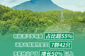 【数读中国】六组数据看海南的2024和2025图片