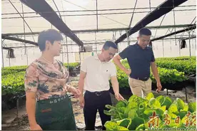扎根乡村十年 闯出新农人一片天图片
