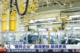 中央点名支持的“瞪羚企业”是什么？支持它发展好处多多→图片