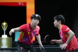 混团世界杯国乒九战全胜晋级四强图片