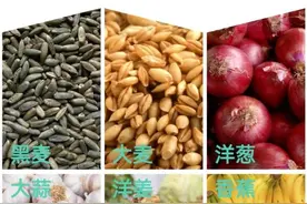 不是所有的糖都是“坏糖”！这种“好糖”竟能帮你缓解便秘、平稳血糖、改善血脂图片