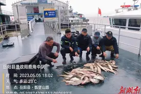 岳阳县重拳出击活饵垂钓犯罪行为图片