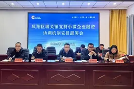 凤翔区城关镇:召开支持小微企业融资协调机制安排部署会图片