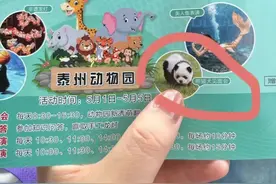动物园“熊猫”火了，园方承认：是染色的狗图片