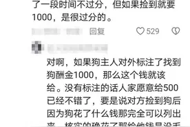 现场崩溃！女学生找回丢失的狗后被索要千元，网友吵翻图片