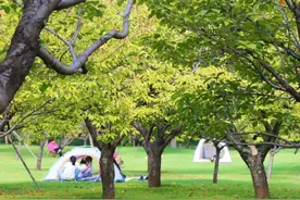 公园+新场景｜在济南植物园邂逅度假式惬意感图片
