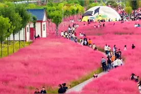 最新消息！事关公积金提取……| 洛阳·早安图片