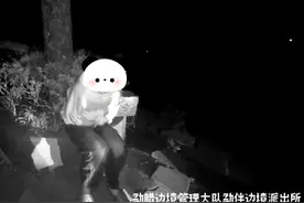 版纳一名民警上班带小孩打游戏？真相是…图片