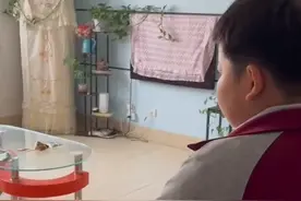 山东9岁男孩回家看到姐姐腿受伤，上演笑容消失术秒变哇哇大哭图片