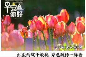 早安，你好｜2025全国花式赏樱地图来了！图片