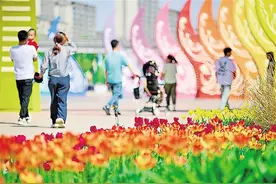 郁见美好图片