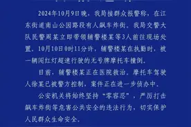 太嚣张！无牌摩托炸街，闯红灯撞飞辅警！当地警方：徐某已被控制图片