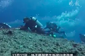 全部生还！7名中国游客帕劳潜水失联 在水里泡了近30小时图片