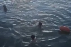 终于找到了！凌晨东湖边，她不顾白裙子跪下……图片