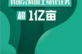2024年我国完成国土绿化任务超1亿亩图片