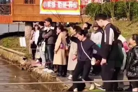 主人走水桥，小狗倒腾着小短腿跟在后面，网友：小腿都跑出残影了图片