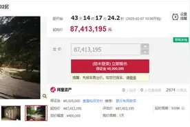 韩后集团创始人再卖广州豪宅：曾有300多套房，房产证一箱装不完图片