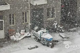 雪纷飞！山东烟台迎冷流降雪，冷流降雪为何“偏爱”山东半岛？图片