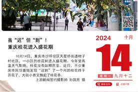上游新闻·每日一图【10月14日】图片
