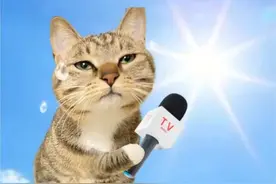 上海高温又自动续订了！最高温仍在35℃附近！三伏高温排行榜出炉图片