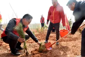 江西乐平：植树造林绿生态图片