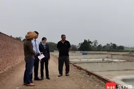 建行“裕农快贷”首次落地东方 信用贷款为鳄鱼产业注入“活水”图片