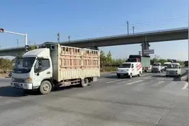 环城货运通道助力郑州“加速跑”图片