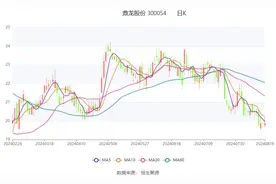 鼎龙股份：2024年上半年净利润2.18亿元 同比增长127.22%图片