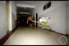 江西大学生在教学楼拍跑酷+武打视频，最高获300多万点赞图片