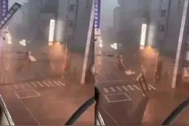 一场台风，刮出台湾政坛众生相图片