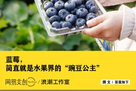 小小一盒蓝莓，为啥能比外卖还贵图片