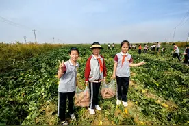 开展研学实践活动 促进学生全面健康发展图片