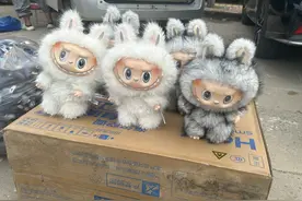 衡水盗版LABUBU大集：像卖菜一样摆摊，最便宜的七八元，商家称订单变少生意难做图片
