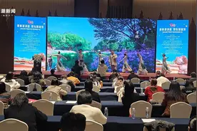 西北大漠遇江南！浙江宁波宁夏中卫文旅联动打造沙海新体验图片