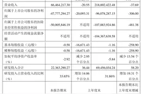 恒烁股份：2023年前三季度亏损9607.83万元图片
