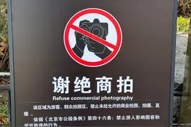 北海公园明确禁止商拍？回应：这次“下了重锤”，遇到可投诉图片
