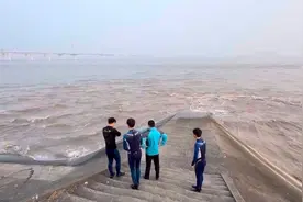 海豚三次现身钱塘江，相关部门随时准备救援图片