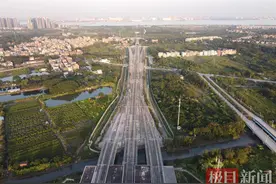 直通广佛肇！佛莞城际铁路正式开通！图片