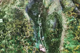 科技护航，道地药材焕新生图片