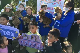 去金牛湖野生动物王国赴一场“萌狮”见面会图片