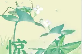 惊蛰｜微雨众卉新，一雷惊蛰始图片